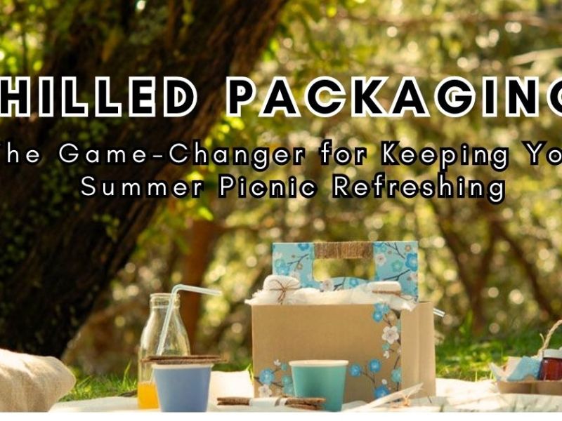 Chilled Packaging: The Game-Changer for Keeping Your Summer Picnic&nbsp;Refreshing